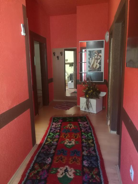 Odvojak Apartments Crikvenica Zewnętrze zdjęcie